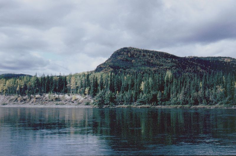 ../Images/093Nach Big Salmon.jpg